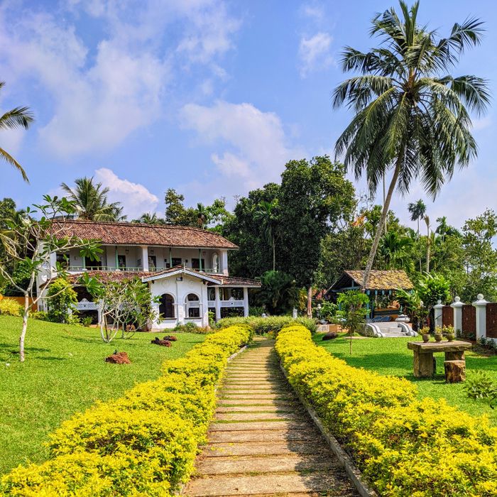 Beautiful colonial-style house surrounded by tropical garden with a clear blue sky.
